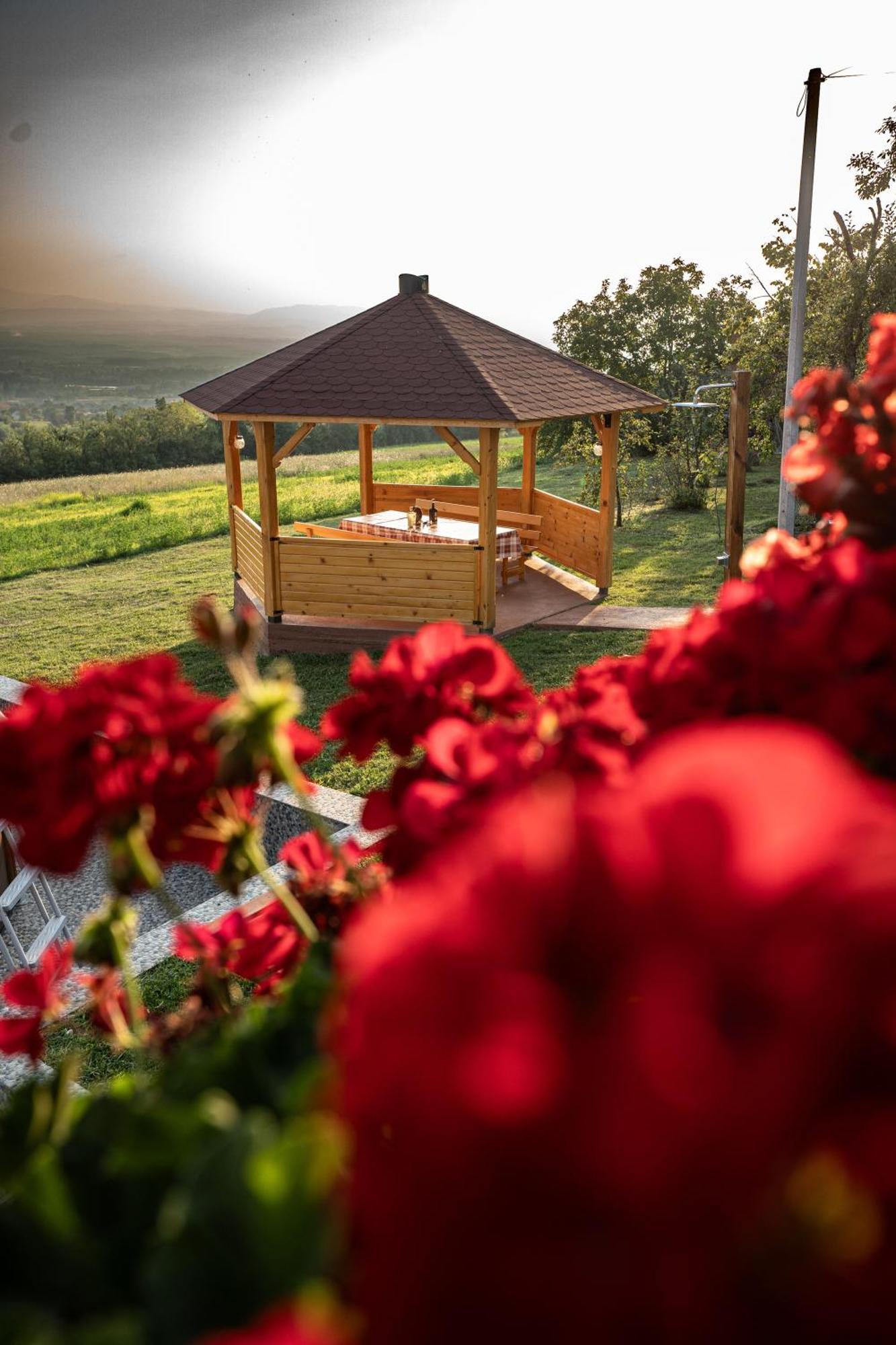 Zlatni Prag - Kraljevo Villa Exterior foto
